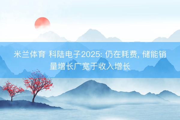 米兰体育 科陆电子2025: 仍在耗费, 储能销量增长广宽于收入增长
