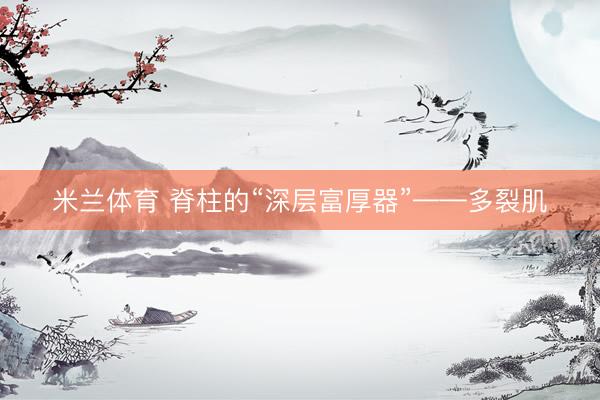 米兰体育 脊柱的“深层富厚器”——多裂肌