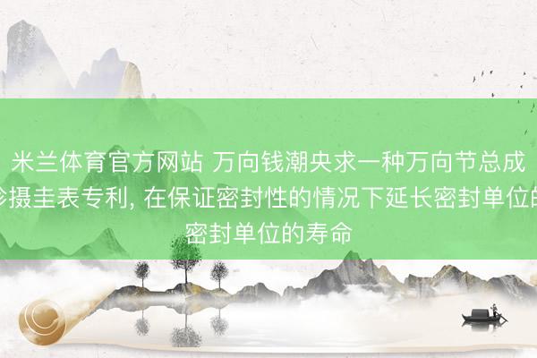 米兰体育官方网站 万向钱潮央求一种万向节总成以及珍摄圭表专利, 在保证密封性的情况下延长密封单位的寿命